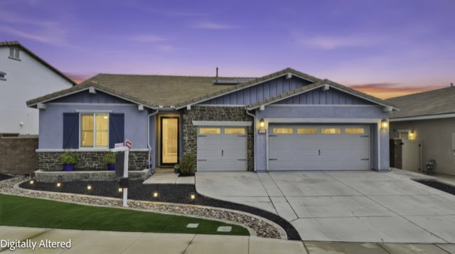 29115 Brittbush
