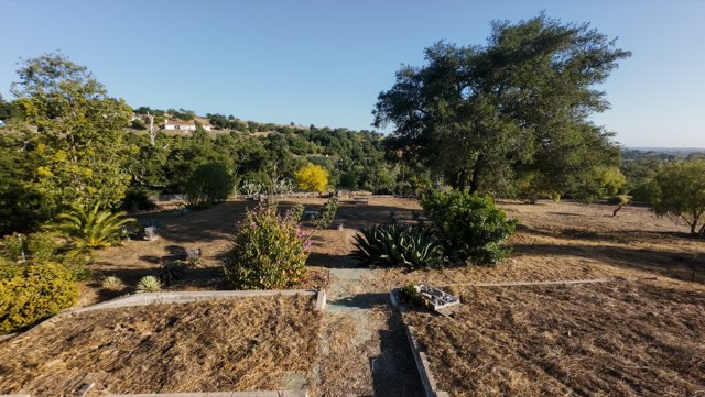 aerial