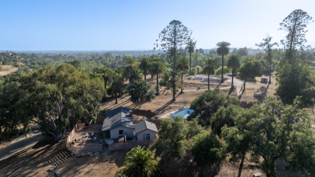 aerial